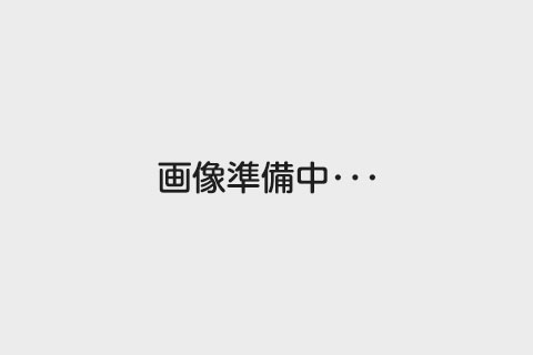 仮画像